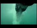 The Power Of The Motion - Swimmer