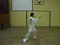 Taiji - Zheng Manqing forms