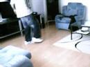 siri first c walk video