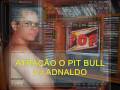 ATRA-O-O-PIT-BULL-DJ