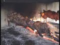 Nasty Meals ! Goat ziegel Sardinia rifugio d\ Nasty Meals ! Goat ziegel Sardinia rifugio d\
