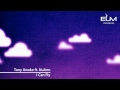Tony Awake ft. NuAnn - I Can Fly