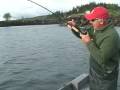 Puget Sound Ling Cod Fishing