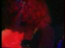 INSPIRAL CARPETS 