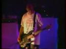 INSPIRAL CARPETS 