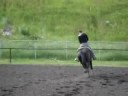 Dennis Loping Circles