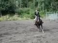 videos de Dennis Loping Circles