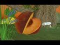 The Perfume Island by Osmoz