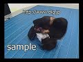 キャットファイトシリーズ 【Aky VS 春川雫】