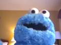 Cookie Monster