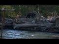 View Video: Bella Coola Mountain Lodge