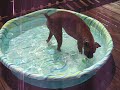 kima in a pool