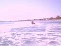sky jet Seadoo