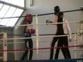 videos de savate mercier cecile