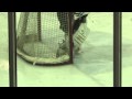 Men's Hockey - Ryerson vs. Nipissing - October 17