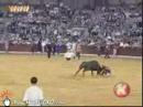Bull Fighting Bloopers
