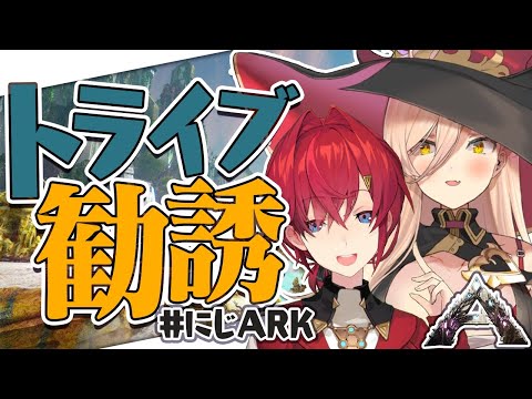 【#にじARK​​】やぁそこのキミ！トライブに入らないか？【アンジュ視点/ニュイ/ちぇりーぺぇ】