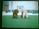 Nintendogs Labrador Retriever