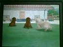 Nintendogs Labrador Retriever