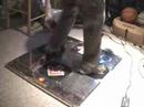 DDR Max 2 Dive DDR Max 2 Dive