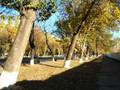 Toshkentim-Moy Tashkent
