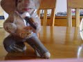 Funny Prank Call Smooth Criminal Nicky Labron Funny Prank Call Smooth Criminal Nicky Labron