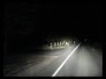 Sunriver Deer