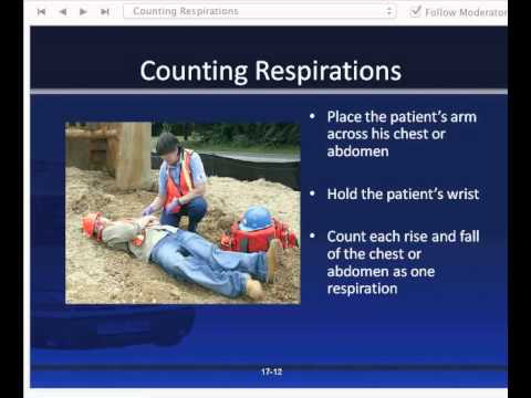 how to assess respiratory rate