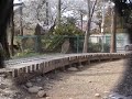 5インチゲージ鉄道模型 EF210 形 電気機関車 ECO-POWER 桃太郎 01 5インチゲージ鉄道模型 EF210 形 電気機関車 ECO-POWER 桃太郎 01