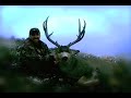 Mulies Gone Wild Vol. 3 - hunting mule deer Mulies Gone Wild Vol. 3 - hunting mule deer