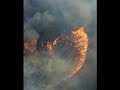 Arde Canarias (Gran Canaria)