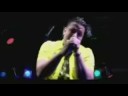 amraoui-