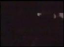 black flys in Becarino \ black flys in Becarino \
