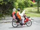 Amazing Dog Ride Amazing Dog Ride