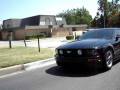 Hells Bells mustang video