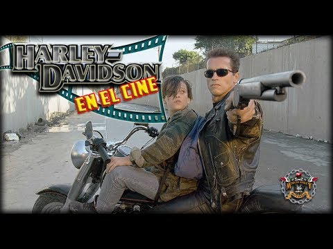 🎦 HARLEY DAVIDSON EN EL CINE 🎦