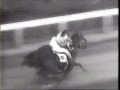 War Admiral