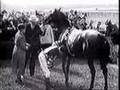War Admiral
