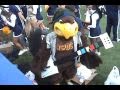 Kent vs. Akron Highlights