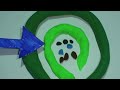 Fertilization of an Angiosperm