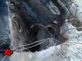 At Least 8 Injured in 2nd Haiti School Collapse