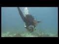 PROPULSEUR aquatique PROPULSEUR aquatique