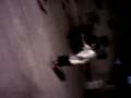 videos de la bomba de nore