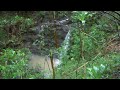 Water Fall on Small Waimalu Stream.AVI Water Fall on Small Waimalu Stream.AVI
