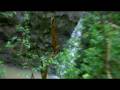 videos de Water Fall on Small Waimalu Stream.AVI