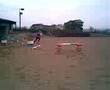 videos de crazy horsey people