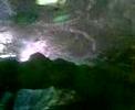 underwater world excursion!