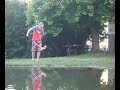 Golonka skåne zorro