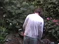 Drunk guy gets angry Drunk guy gets angry
