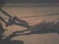 chavos en patineta 2